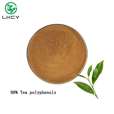 Green Tea Estratt Te Polifenoli